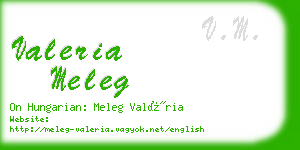 valeria meleg business card